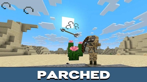 minecraft 1.26.13.1 game