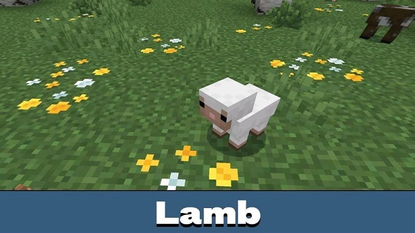 minecraft 1.26.13.1 apk latest version